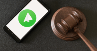 GOBahis telegram